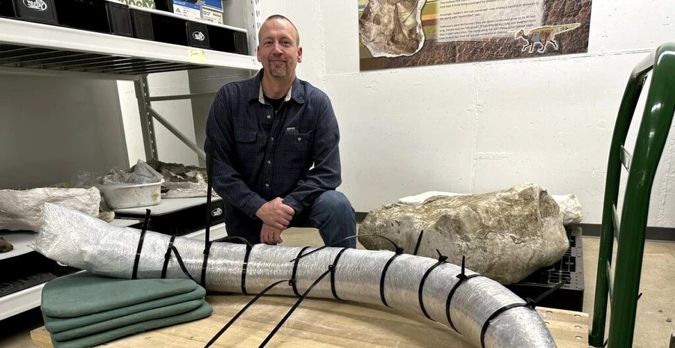 Un colț uriaș de mamut, găsit din întâmplare de minerii dintr-un stat american