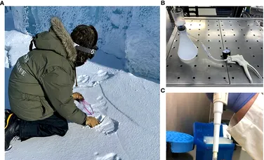 Oamenii de știință reușesc pentru prima dată să monitorizeze populațiile de urși polari