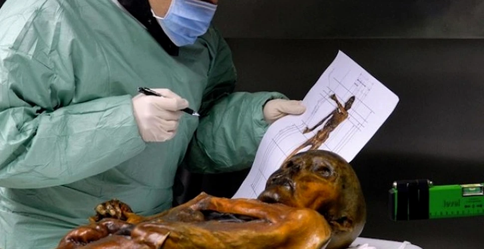 Cercetătorii au găsit în mumia „Omului Gheţurilor” urme de ADN care nu este uman