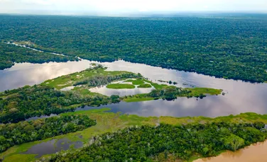 Speranță pentru un trib din pădurea amazoniană, aflat în pericol de dispariție