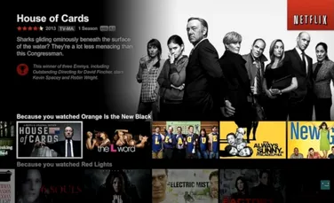 Netflix vrea să traducă tot conţinutul din România până la sfârşitul anului