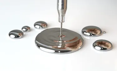 Karen Wetterhahn și misterul genetic al otrăvirii cu mercur