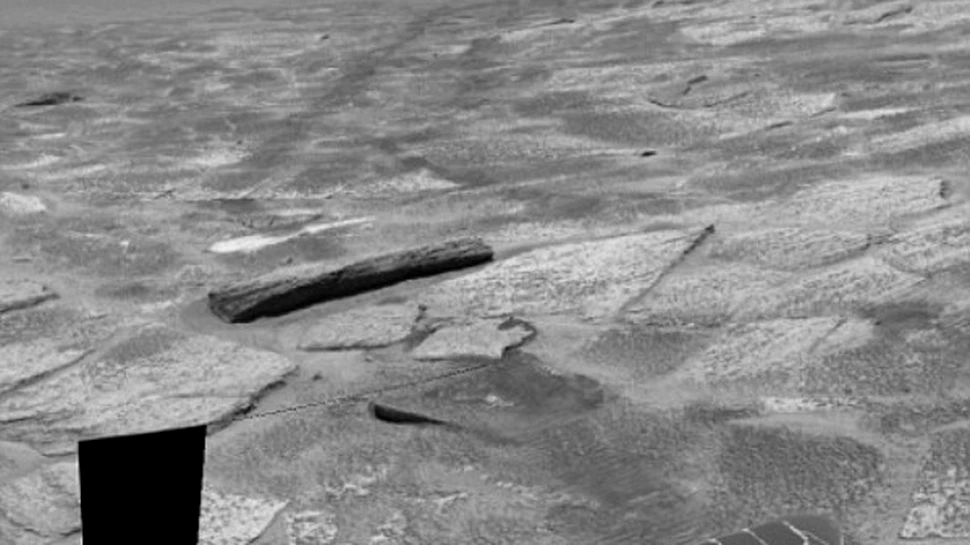 Busteanul de pe Marte socheaza lumea stiintifica