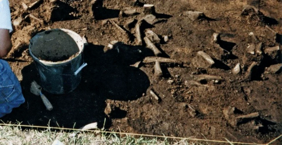 Descoperire arheologică uimitoare în Rusia: aruncă o nouă lumină asupra războinicilor străvechi ce îşi spuneau ”haite de lupi”