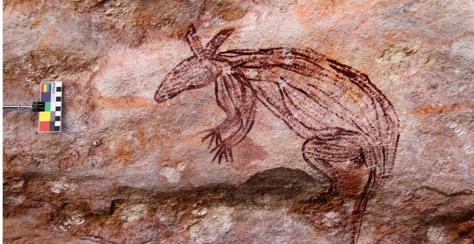 Un nou stil de artă rupestră, care arată oamenii și natura trăind în armonie, a fost descoperit