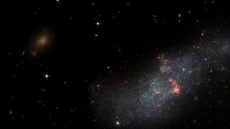 Telescopul Hubble a surprins în detaliu o galaxie pitică din vecinătatea Căii Lactee
