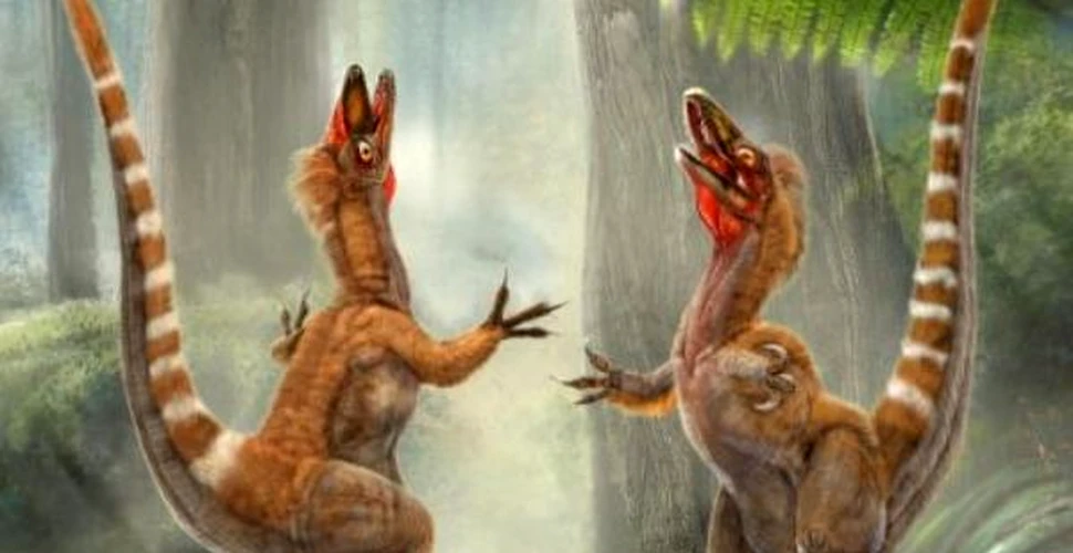 Roscat, cu dungi albe: paleontologii au aflat ce culoare avea un dinozaur