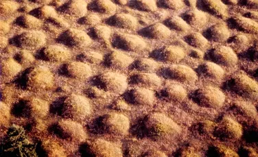 Ce sunt enigmaticele „movile din Mima”? Cercetătorii au găsit o explicaţie pentru acest mister vechi de secole