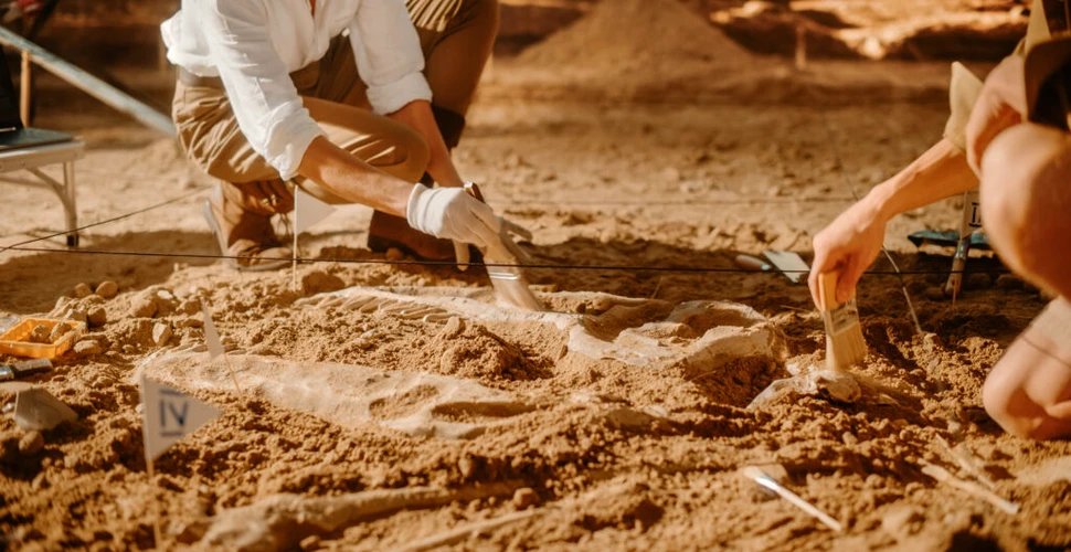 Comori impresionante din Epoca Bronzului, descoperite într-un sit funerar