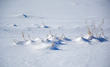 Căpiţe de zăpadă formate, în urma unui fenomen meteo rar FOTO