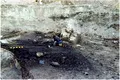 Un sit de incinerație unic din Epoca Bronzului, lăsat în voia naturii. Cadavrele, arse și abandonate ca parte a unui ritual?