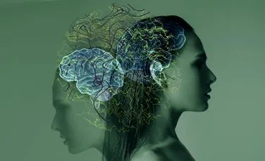 Inteligența Artificială poate identifica anxietatea pe baza structurii creierului