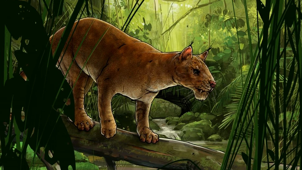 Un nou prădător cu „dinți-sabie”, descris de cercetători. Este unul dintre primii carnivori adevărați