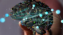 Test de cultură generală. Care este diferența dintre neural și neuronal?