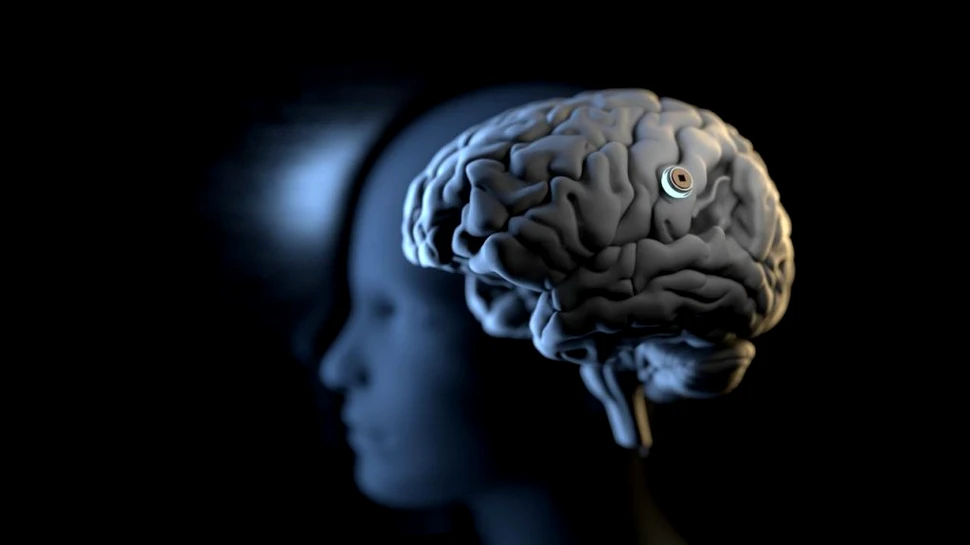 Mecanismul molecular al memoriei pe termen lung, descoperit în premieră de oamenii de știință