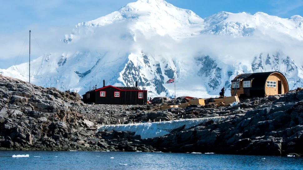 Vrei să numeri pinguini în Antarctica și să fii plătit pentru asta? Iată șansa vieții tale
