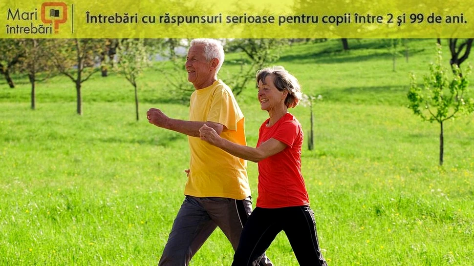 De ce oamenii se micșorează pe măsură ce îmbătrânesc?