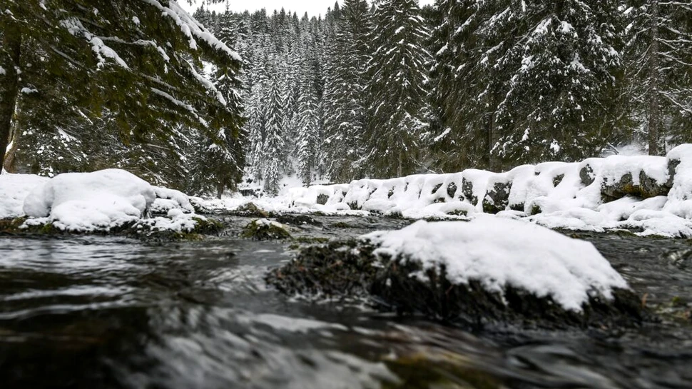 Cel mai friguros sat din Franța a înregistrat, pentru prima oară în ultimii 140 de ani, o lună fără îngheț