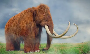 O nouă descendență de mamuți tropicali a fost descoperită în Mexic