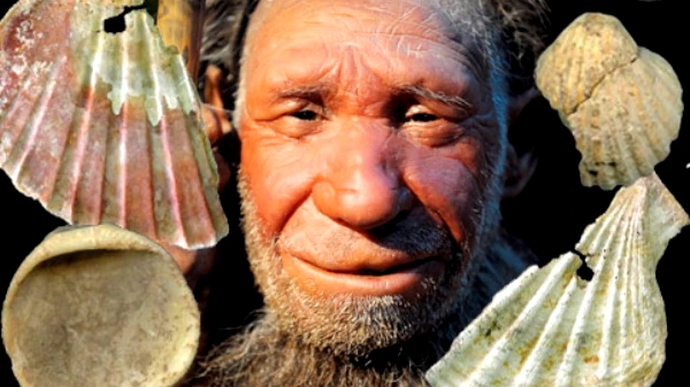 Omul de Neanderthal – primul metrosexual al planetei?