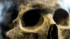 Craniul misterios al unei femei, vechi de 6.200 de ani, îi uimește pe arheologi