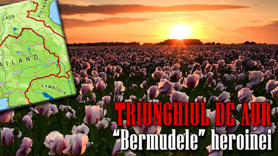 Triunghiul de aur – “Bermudele” heroinei