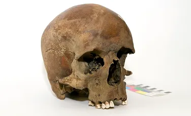 Descoperirea care dă bătăi de cap istoricilor: un craniu misterios ar putea rescrie istoria Australiei!