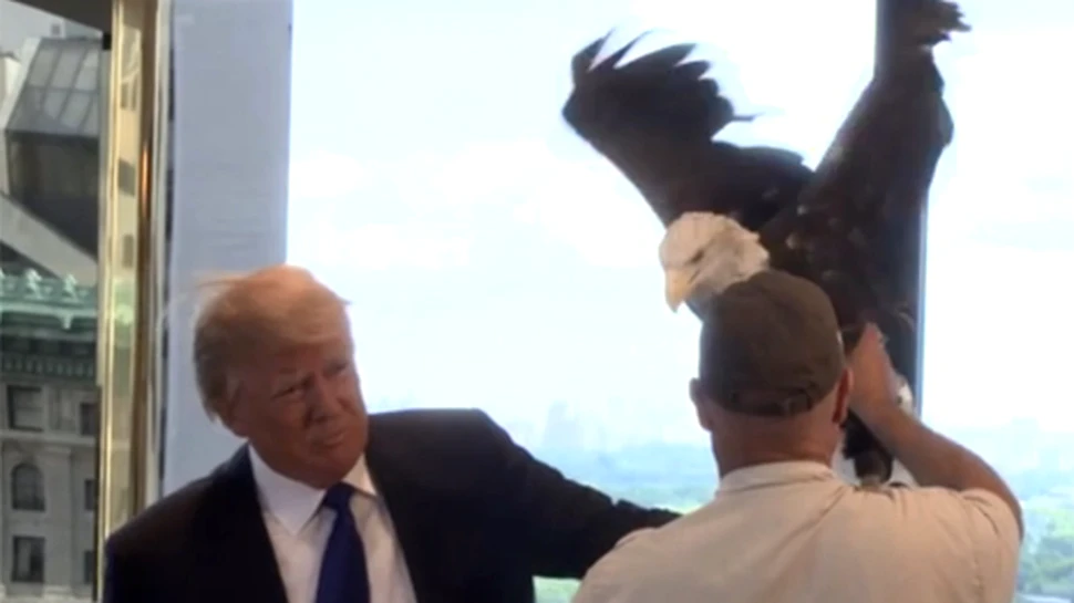 Donald Trump, speriat de un vultur în timpul unei şedinţe foto – VIDEO