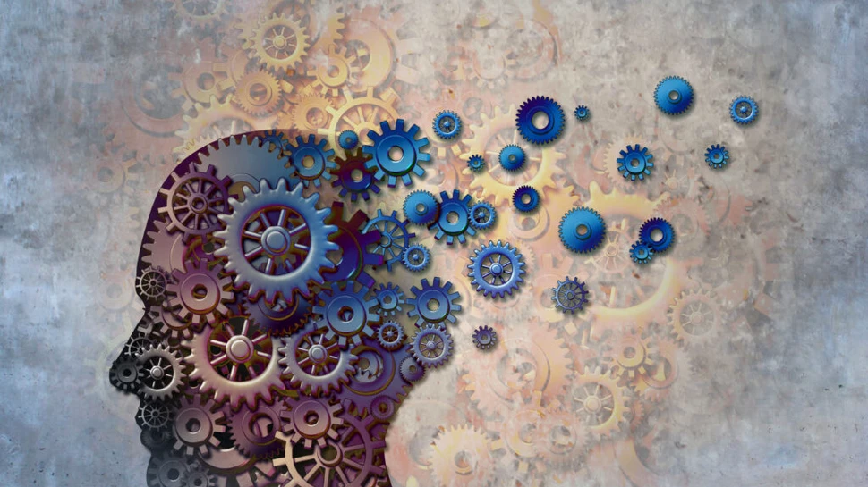 Genele învățării și memoriei sunt vechi de 650 de milioane de ani, arată un studiu