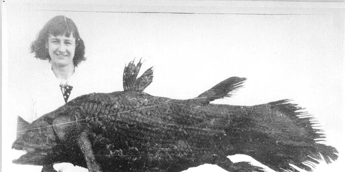 În 1938, o femeie a „înviat” o specie despre care se credea că a dispărut acum 66 de milioane de ani