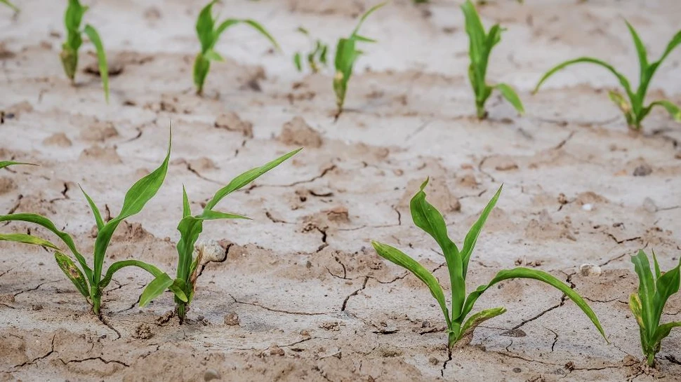 CE vrea atingerea neutralităţii climatice până în 2050