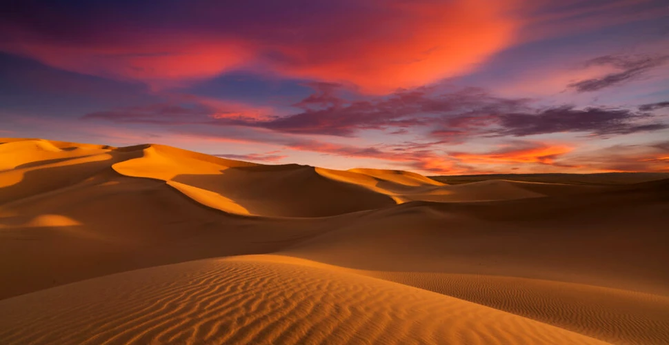 Test de cultură generală. Cum se numește vântul uscat și fierbinte care străbate deșertul Sahara?