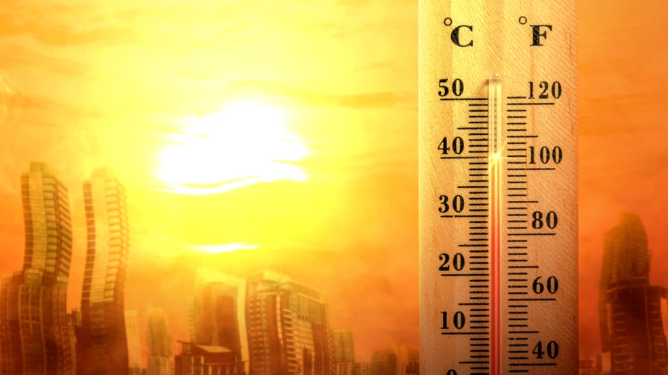 Valurile de căldură din 2022 au cauzat 20.000 de decese „în exces” în Europa