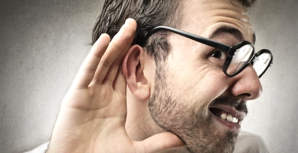 Au fost descoperite trei noi tipuri de nervi în urechea internă