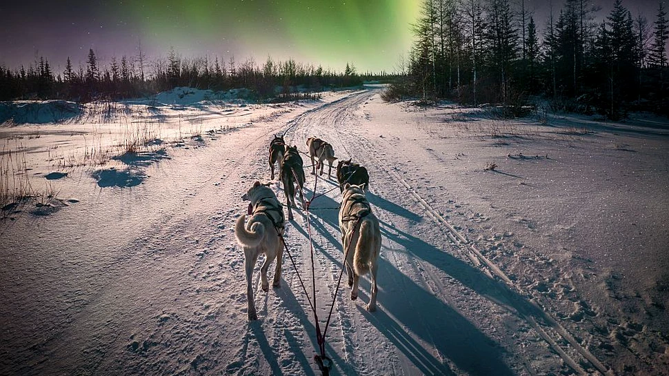 Curiozităţi despre animale care te vor surprinde