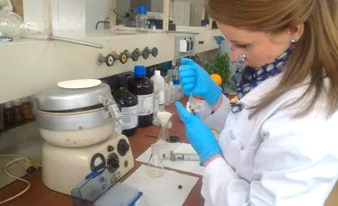Un grup de specialişti din Cluj vrea să extragă vitamina C din pătrunjel