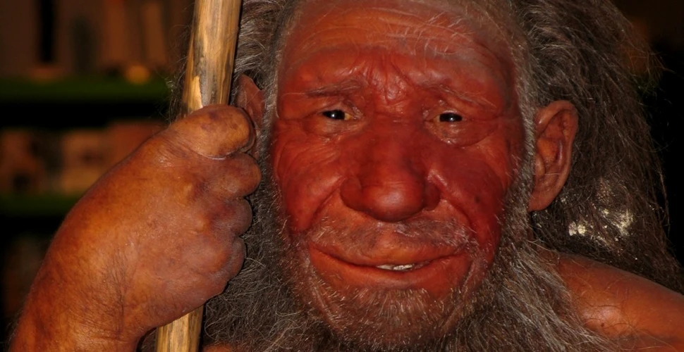 Cum vorbeau oamenii de Neanderthal? (VIDEO)