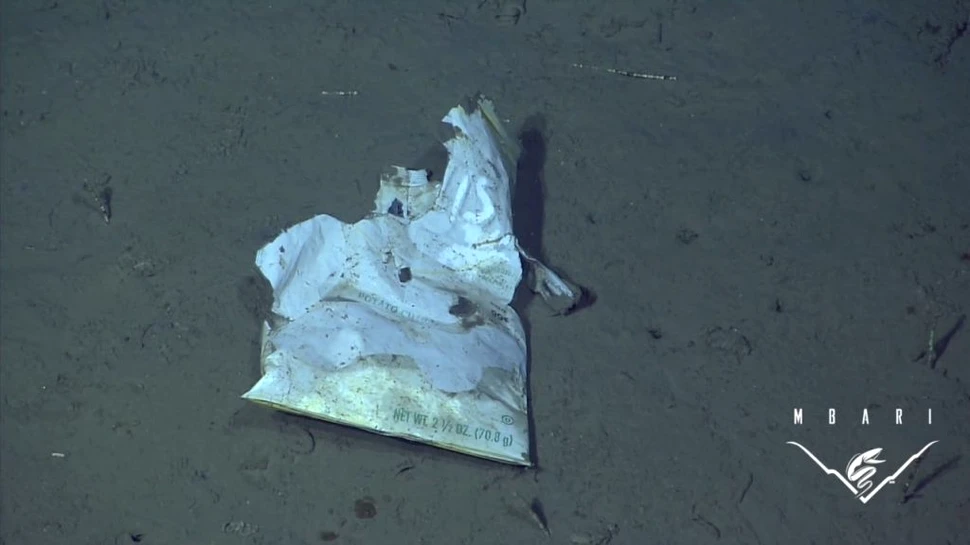 Imagini frapante: 18.000 de ore de filmări surprind gunoiul pe care noi îl aruncăm în oceane (VIDEO)