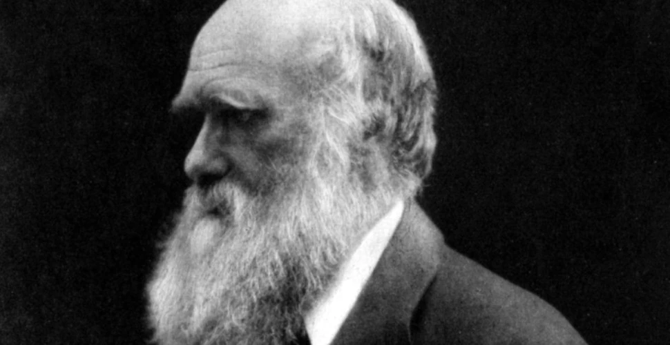 Darwin a avut dreptate: viaţa a apărut într-o baltă caldă