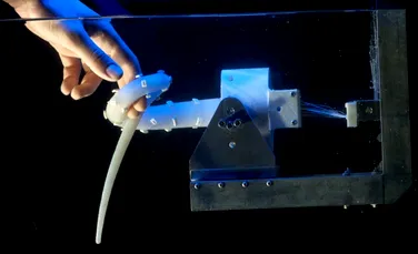 Un robot-caracatiţă va fi trimis în misiuni de salvare (VIDEO)