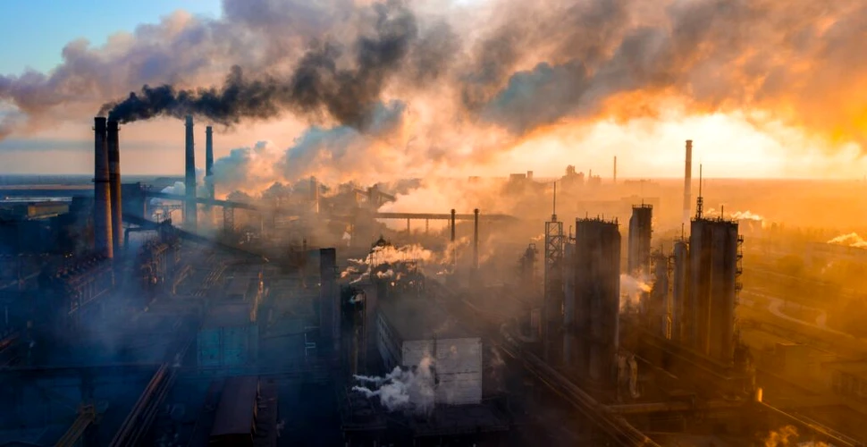 Schimbările climatice accelerează alergiile și bolile respiratorii
