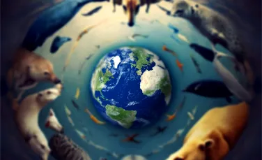 Criza climatică, la firul ierbii: Cum s-au schimbat viețile oamenilor din SUA