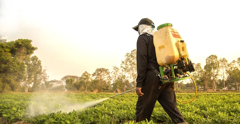 Un pesticid cunoscut este legat de boli renale cronice