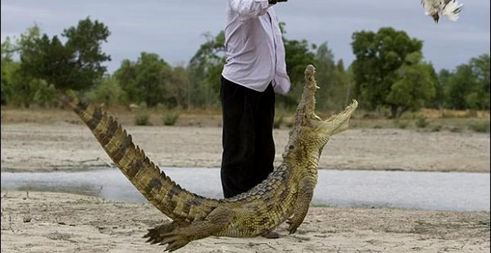 Oameni si crocodili, infratiti intr-un sat african