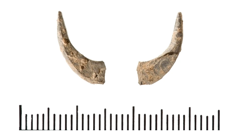 A fost descoperit cel mai vechi cârlig de pescuit