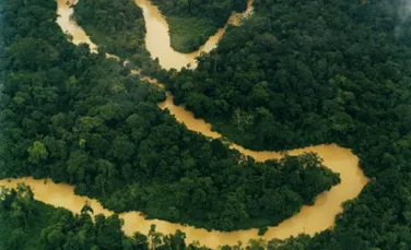 21 de miliarde de dolari in schimbul pastrarii Amazoniei