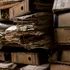 Lecțiile de istorie, importante în combaterea dezinformării online, spun cercetătorii