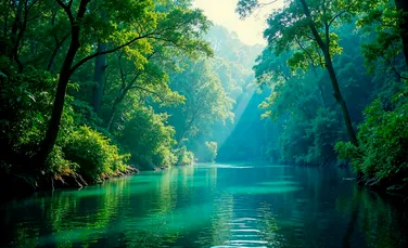 Fenomen dezastruos în pădurea amazoniană: Lacurile au început să fiarbă!