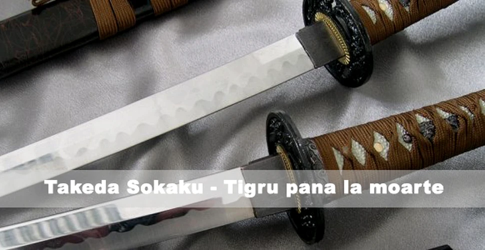 Takeda Sokaku – Tigru pana la moarte