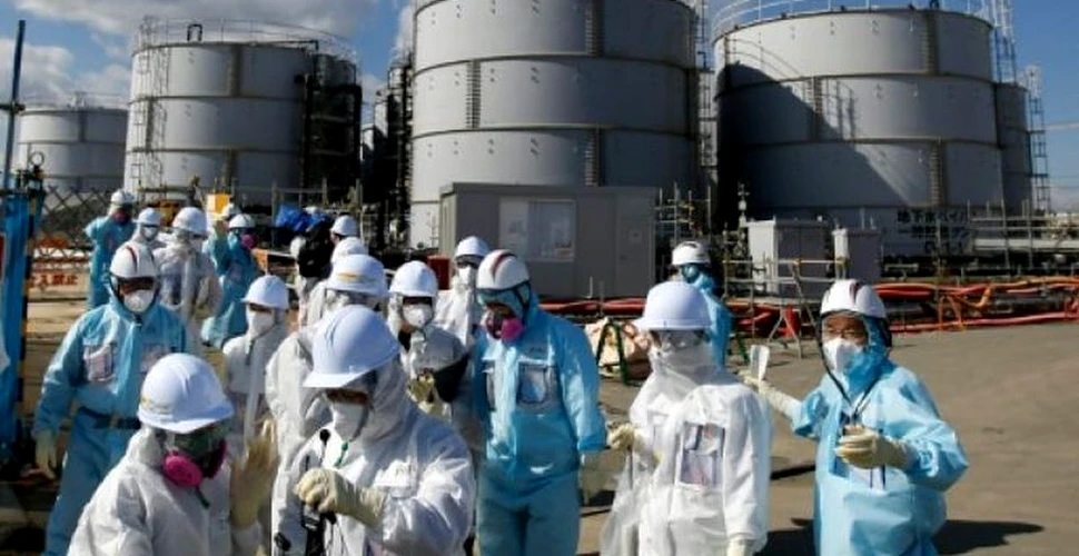 Imagini impresionante de la Fukushima, la cinci ani după tragedia nucleară. „Zona este ca un oraş-fantomă neatins” – VIDEO